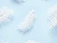 [윤재] 장마는 끝