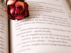 💌 성향표 및 드림 소개표