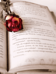 드림주 프로필 모음