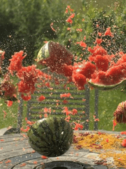 러브, 헤이트, 콤플렉스