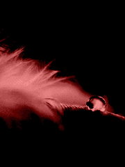 칼을 따라 흐르는 것은, / KV