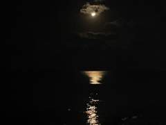 ᴘʟᴀʏʟɪsᴛ #𝟷 잊혀진 것이 아니라 내가 잊은 거야