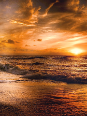 황혼의 눈을 가진 자