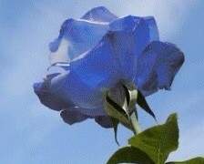 우리는 끝이 없었다