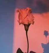 과거의 상처로 다가가기가 힘든 히나타