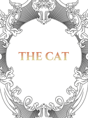 고양이와 함께하는 일상