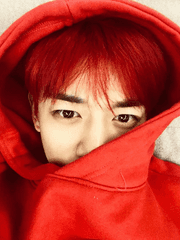 최씨 집안 사랑관계