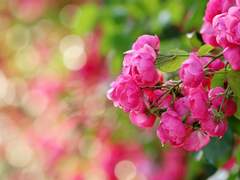 [3] 단문 백업 (2021.08.16)