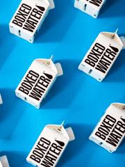 본계에 공개 안된 미공개 글 [뜰팁, 팀샐]