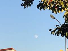 나는 남과 비교될 수 없다.