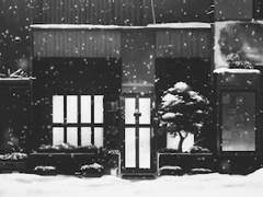 [전윤] 세상엔 캐롤이 너무 많아