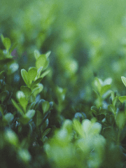 𝐀𝐛𝐬𝐨𝐥𝐮𝐓𝐞 𝐑𝐮𝐢𝐧