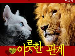 [BL] 야릇한 관계-10