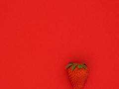 [치트패치] 성인이 된 자식새끼의 정서적 안정을 위한 소책자