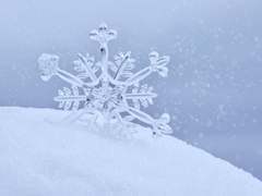 눈꽃처럼 제 2화.