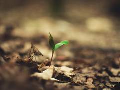 저를 보고 있는 당신께 묻습니다.