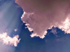 환상은 과연 영원할까요?