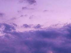 임시개장 타로 모음