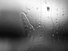 어둠을 밝히던 환한 불빛들은 어디로 사라진 것일까. 짙은 안개가 드리워지던 날