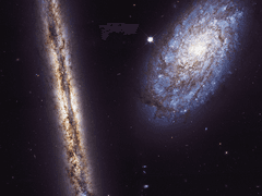 로그 특별편: '그런 우주'