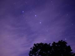 찬란히 빛나는 우리의 별들아 (中)