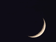 나의 별을 부탁해