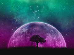 쓰리 카드 샘플