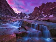 고아한 바다 속 라일락