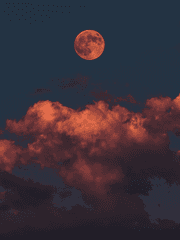 어느날 갑자기 전생의 기억이 돌아왔어요