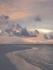 그와 나는 헤어졌다