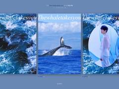 The whale takes you poster