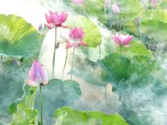 생의 기원(起源-祈願)