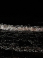 불행 서사 속 청춘 찾기