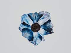 깊은 곳의 추억