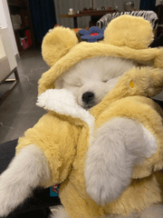 여기는 moon스테이