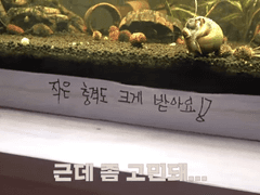 친환경 탐구생활!