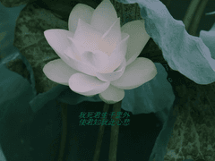 함께하면 즐거운 사람.