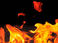 직감, 믿음, 그리고 확신.