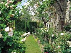 [Zachary B. Martin/인간]