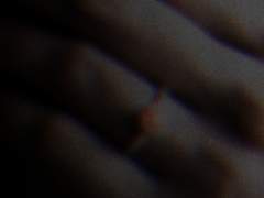 이를 믿는 자는 영생을 얻었고