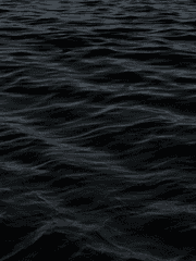 채우기 또는 버리기