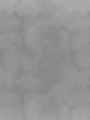 괴물이 사는 집