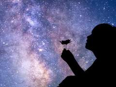 𝐂𝐚𝐧𝐜𝐞𝐫.