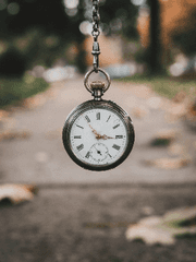 시간여행자의 형제들