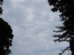 부모님과 함께갔었던 어딘가에 여러 사진