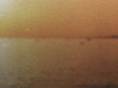 네가 미련을 갖길,