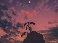 𝙰𝚛𝚛𝚒𝚟𝚎𝚍𝚎𝚛𝚌𝚒