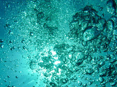 멍청하기도 하지.