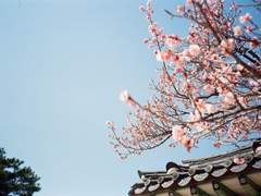 있잖아, 김여주.