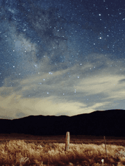 별꽃 :: 무단결근_